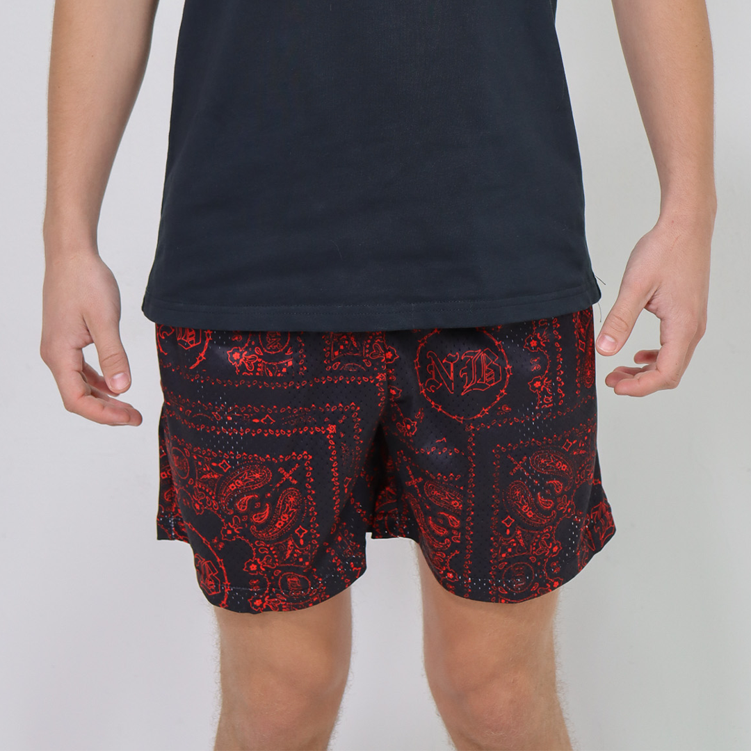 Paisley Shorts